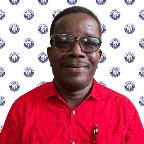 Emmanuel OKE - Primary School Teacher